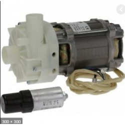 Pumpe für Gewerbespülmaschine | WINTERHALTER | 3122449